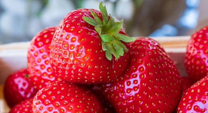 Erdbeeren, Foto: Pixabay