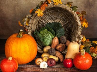 Foto: Sabrina Ripke_Pixabay, Kürbis, Pumpkin, Gemüse, Wintergemüse 